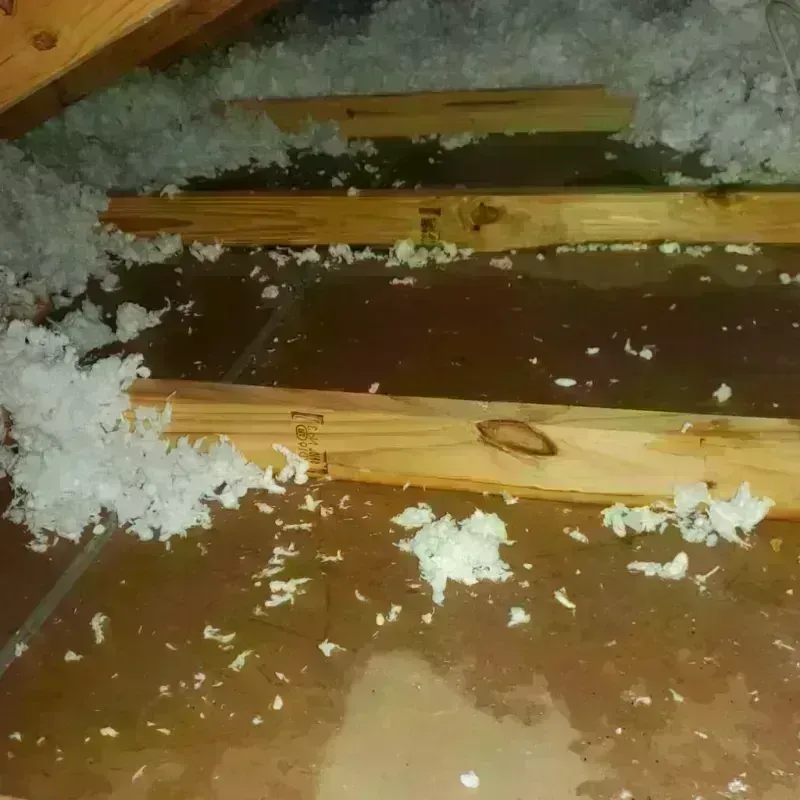 Attic Water Damage in Santa Ana, CA