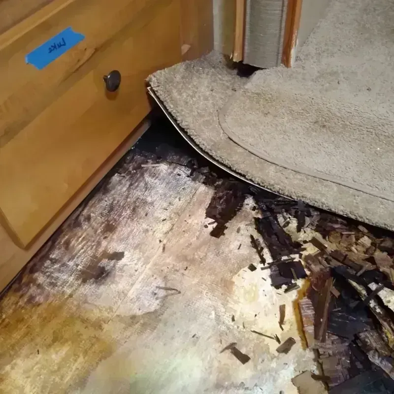 Wood Floor Water Damage in Santa Ana, CA